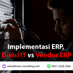 Implementasi ERP, Divisi IT vs Vendor ERP