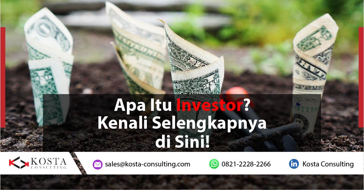 Apa Itu Investor?
